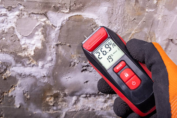 Best Water Damage Restoration  in Calais, ME