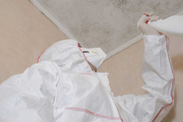 Water Damage Restoration in Calais, ME