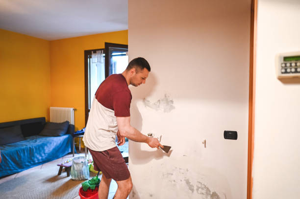 Best Attic Mold Removal  in Calais, ME